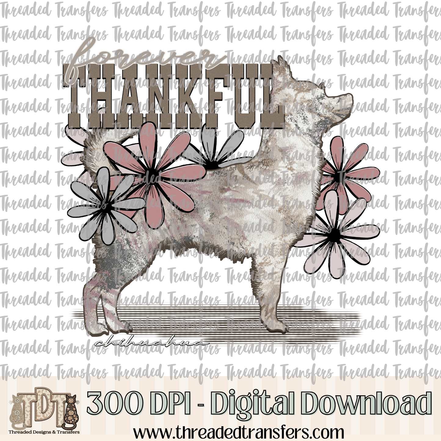 Forever Thankful Chihuahua Digital Design Download (PNG Format - no product shipped)