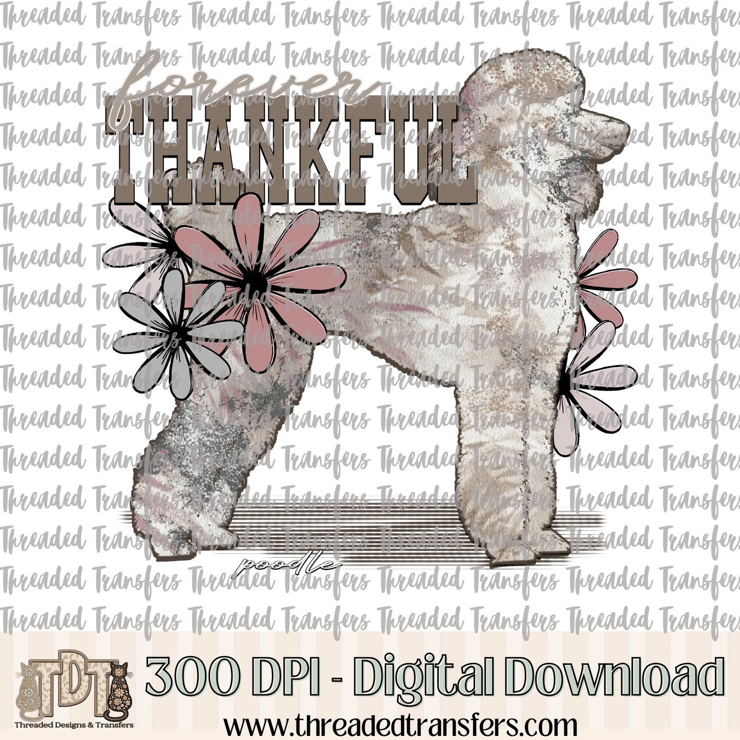Forever Thankful Poodle Digital Design Download (PNG Format - no product shipped)