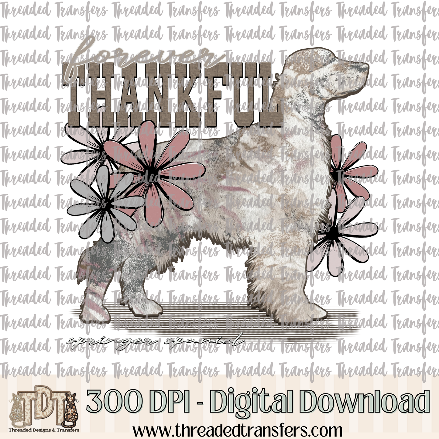 Forever Thankful Springer Spaniel Digital Design Download (PNG Format - no product shipped)