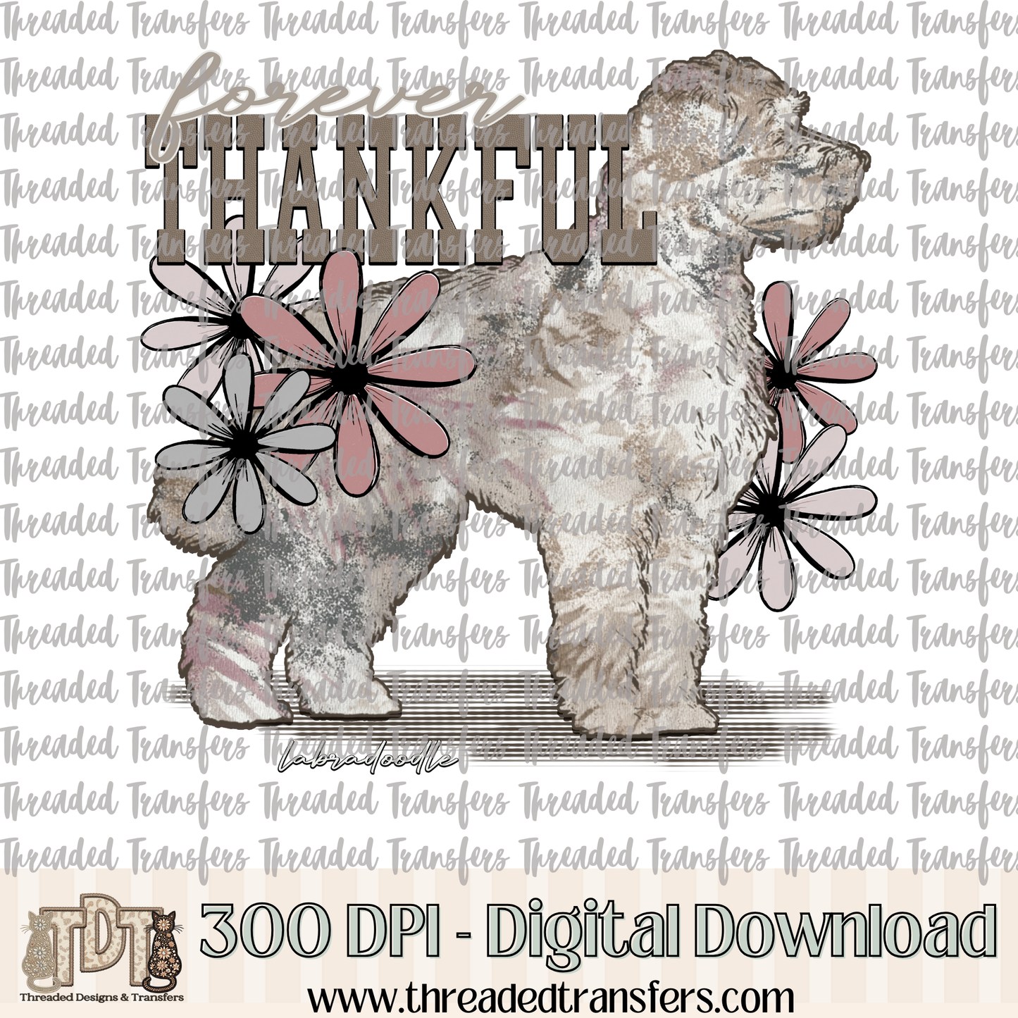 Forever Thankful Labradoodle Digital Design Download (PNG Format - no product shipped)