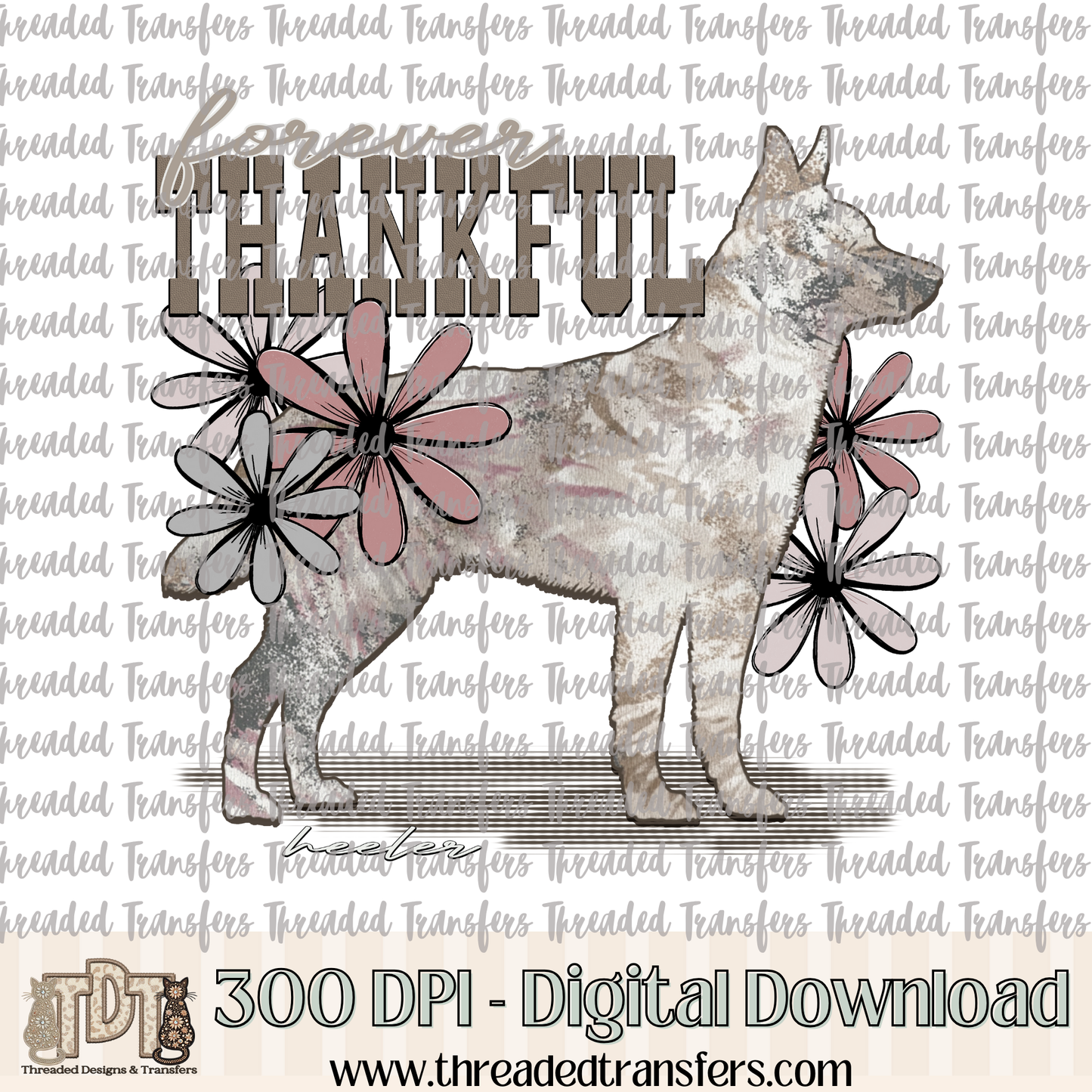 Forever Thankful Heeler Digital Design Download (PNG Format - no product shipped)