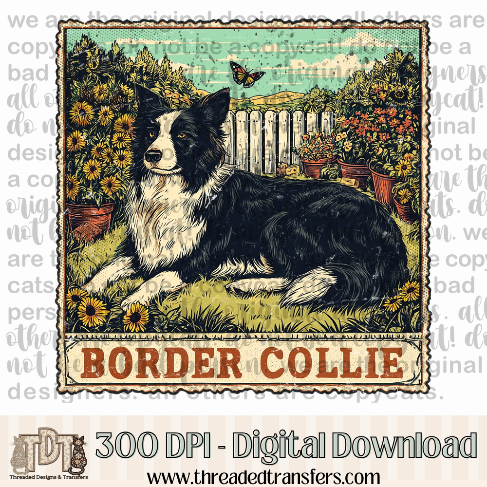Border Collie Vintage Stamp Digital Design Download (PNG Format - no product shipped)