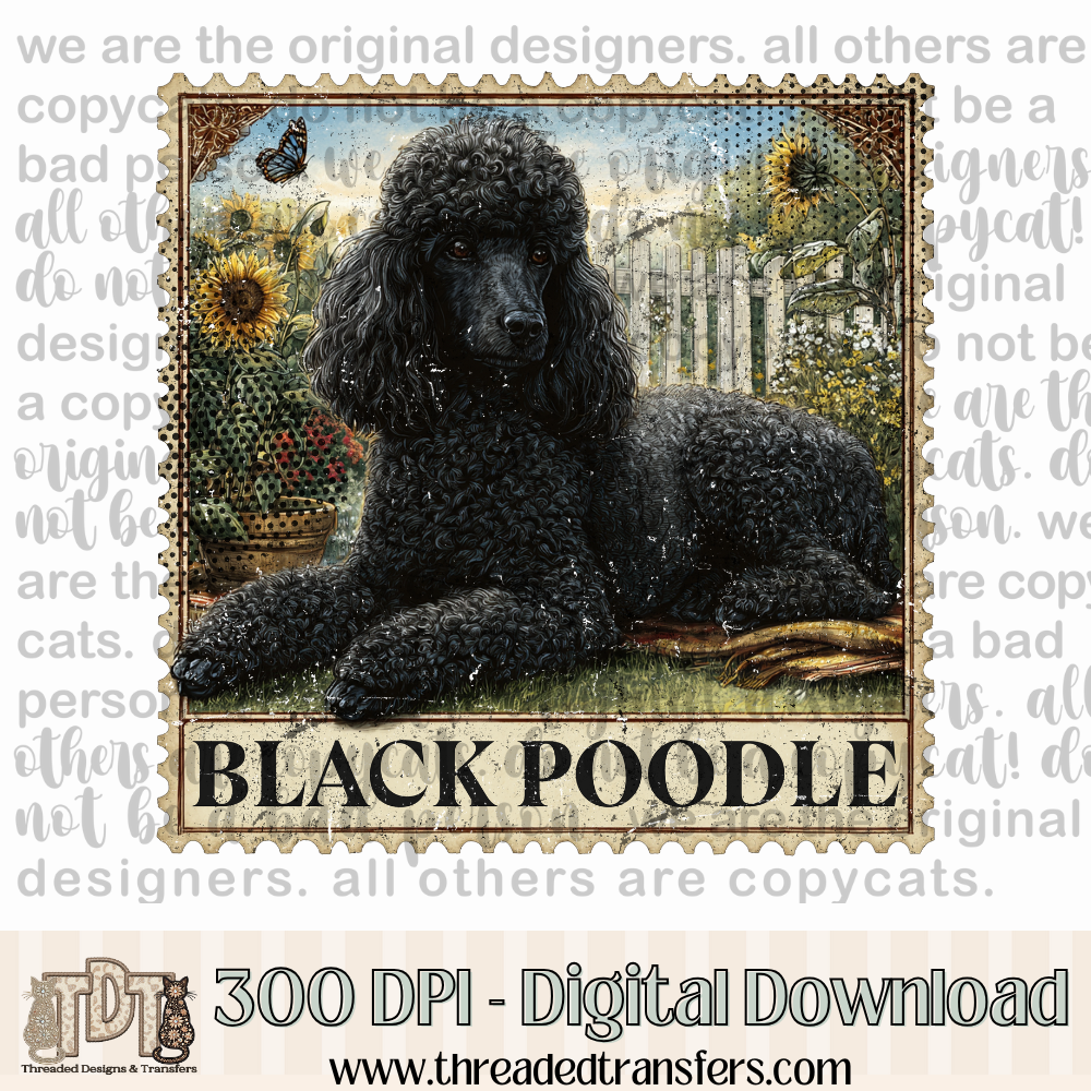 Black Poodle Vintage Stamp Digital Design Download (PNG Format - no product shipped)