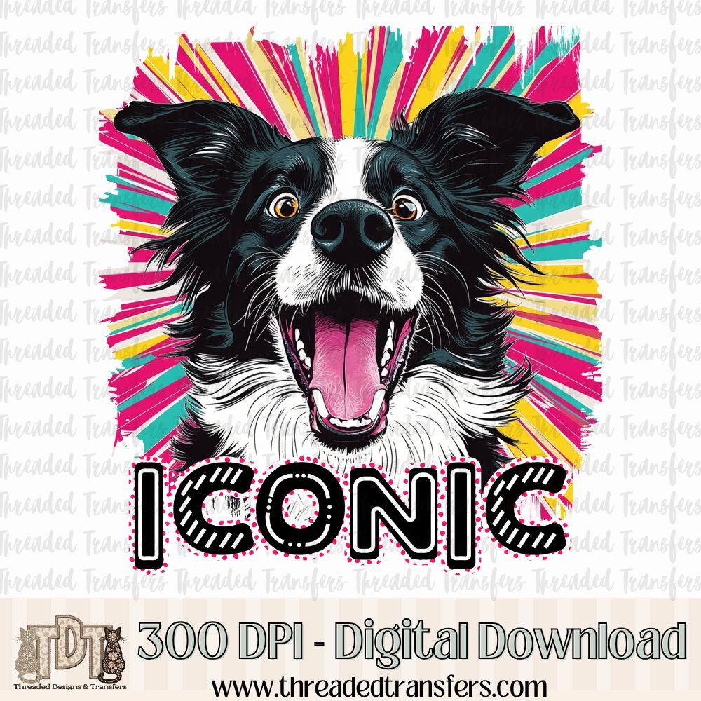 Iconic Border Collie Digital Design Download (PNG Format - no product shipped)