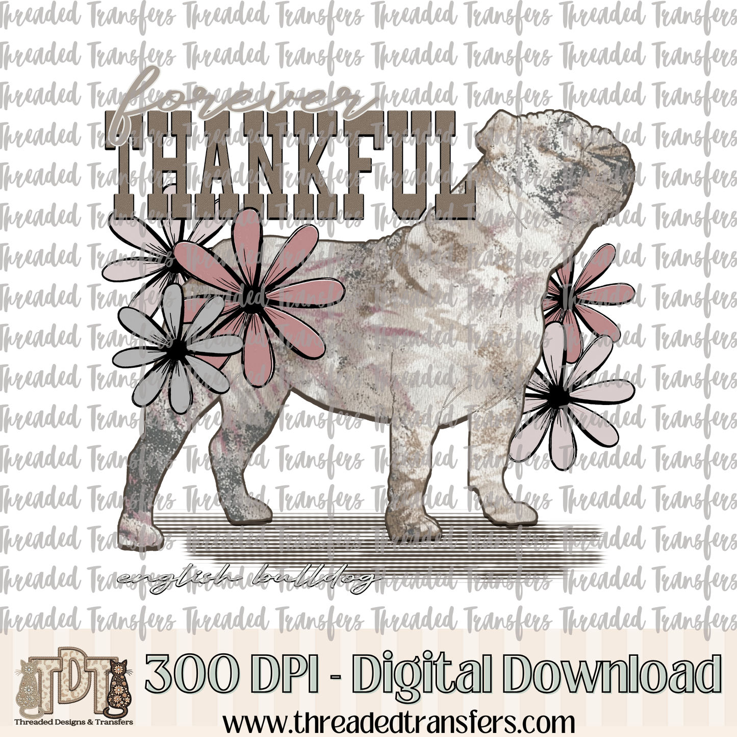 Forever Thankful English Bulldog Digital Design Download (PNG Format - no product shipped)