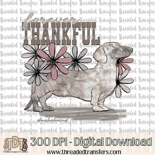 Forever Thankful Dachshund Digital Design Download (PNG Format - no product shipped)
