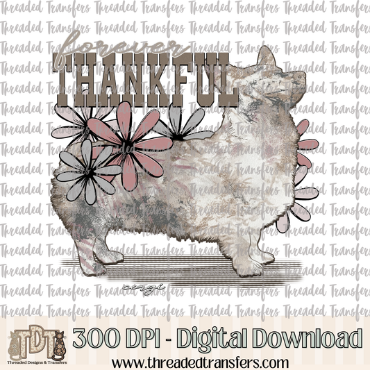 Forever Thankful Corgi Digital Design Download (PNG Format - no product shipped)