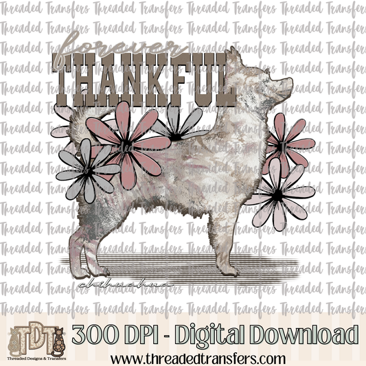 Forever Thankful Chihuahua Digital Design Download (PNG Format - no product shipped)