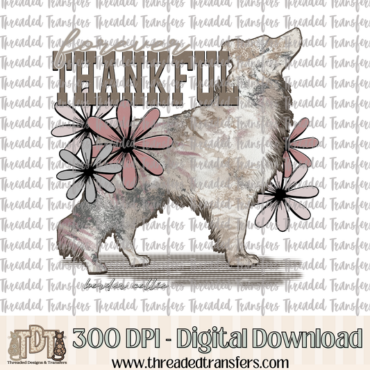 Forever Thankful Border Collie Digital Design Download (PNG Format - no product shipped)