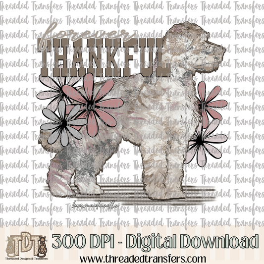 Forever Thankful Bernadoodle Digital Design Download (PNG Format - no product shipped)