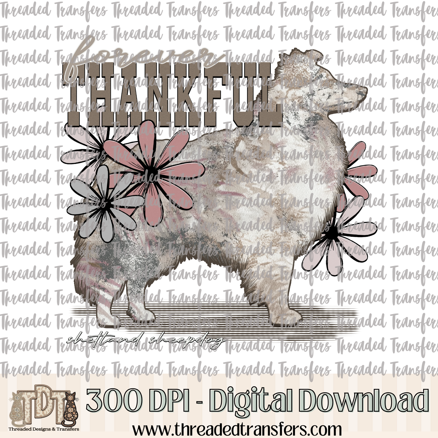 Forever Thankful Shetland Sheepdog Digital Design Download (PNG Format - no product shipped)