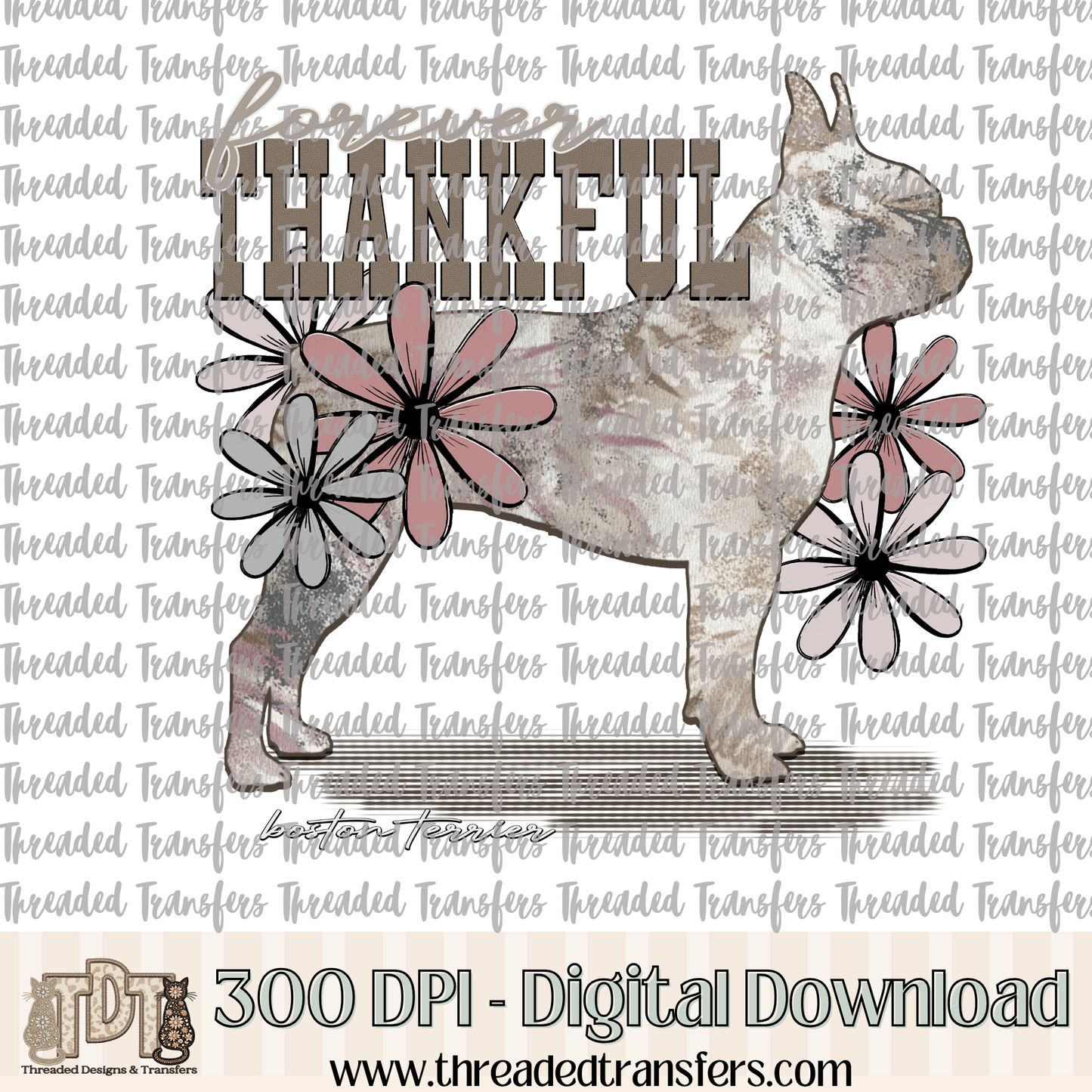 Forever Thankful Boston Terrier Digital Design Download (PNG Format - no product shipped)