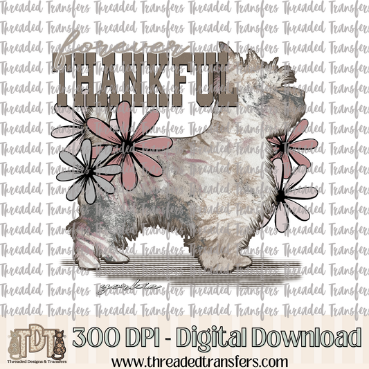 Forever Thankful Yorkie Digital Design Download (PNG Format - no product shipped)