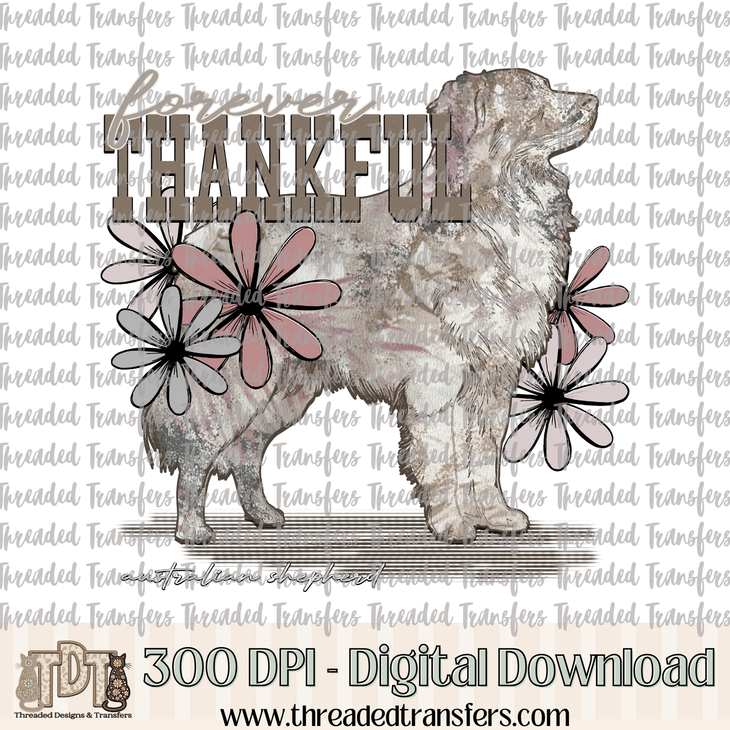 Forever Thankful Australian Shepherd Digital Design Download (PNG Format - no product shipped)
