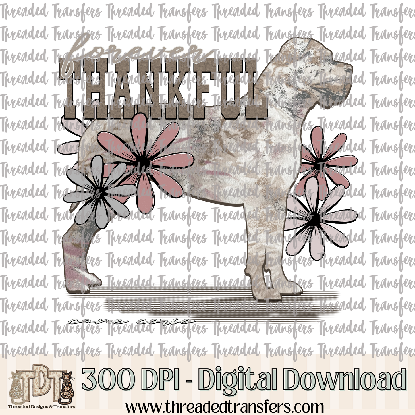 Forever Thankful Cane Corso Digital Design Download (PNG Format - no product shipped)