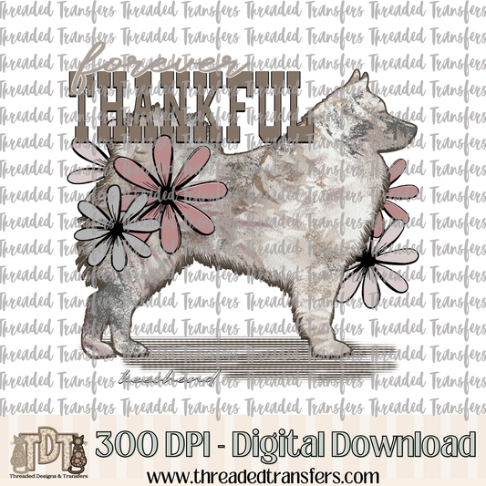 Forever Thankful Keeshond Digital Design Download (PNG Format - no product shipped)