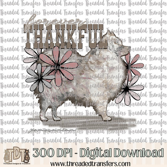 Forever Thankful Pomeranian Digital Design Download (PNG Format - no product shipped)
