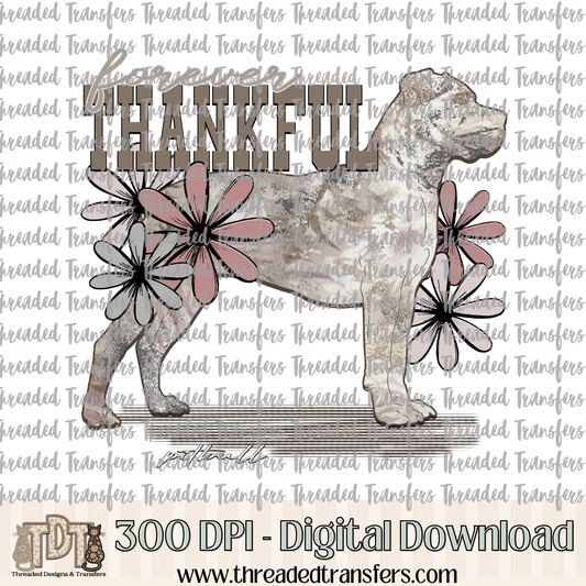 Forever Thankful Pitbull Digital Design Download (PNG Format - no product shipped)