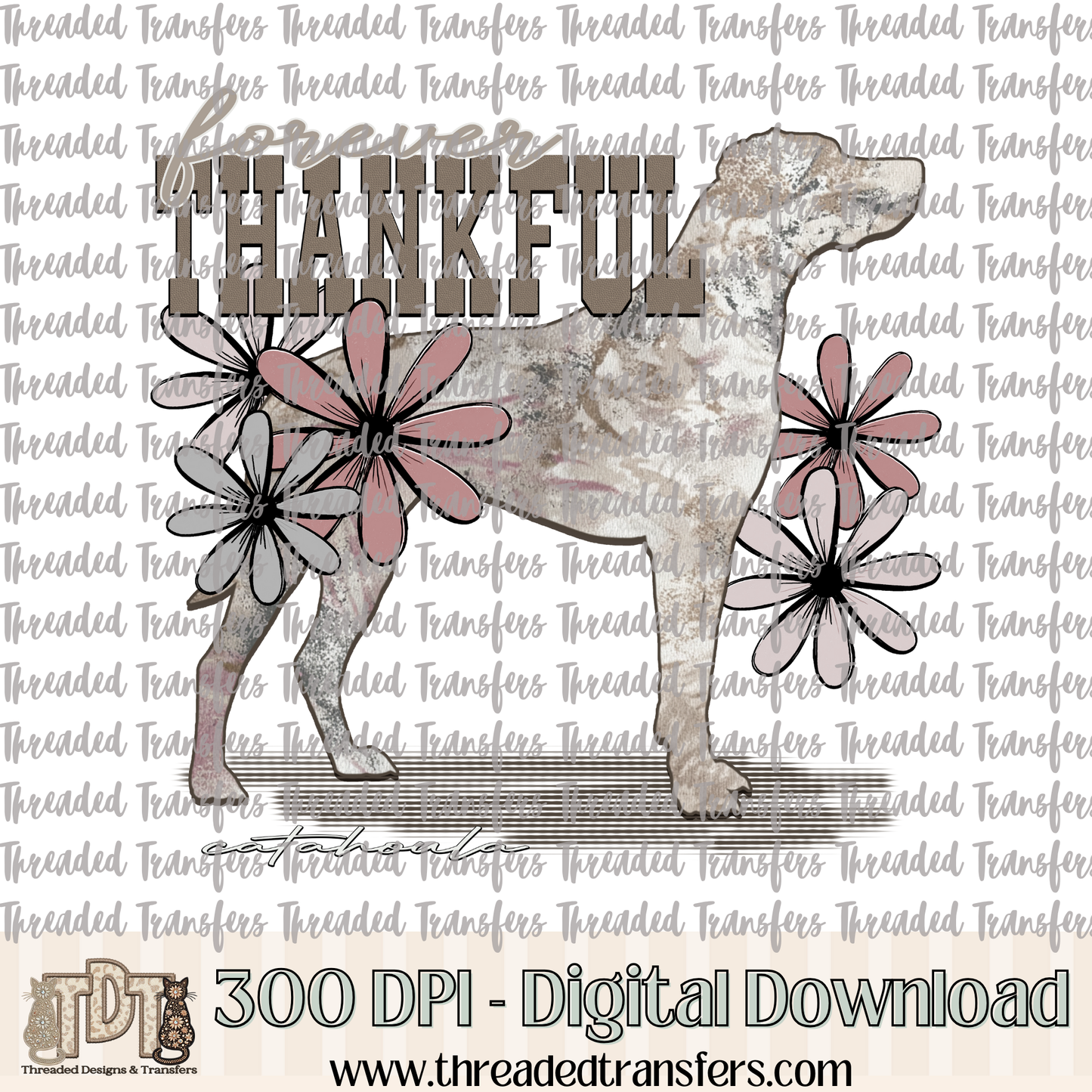 Forever Thankful Catahoula Digital Design Download (PNG Format - no product shipped)