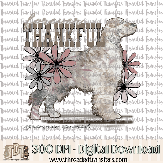 Forever Thankful Springer Spaniel Digital Design Download (PNG Format - no product shipped)