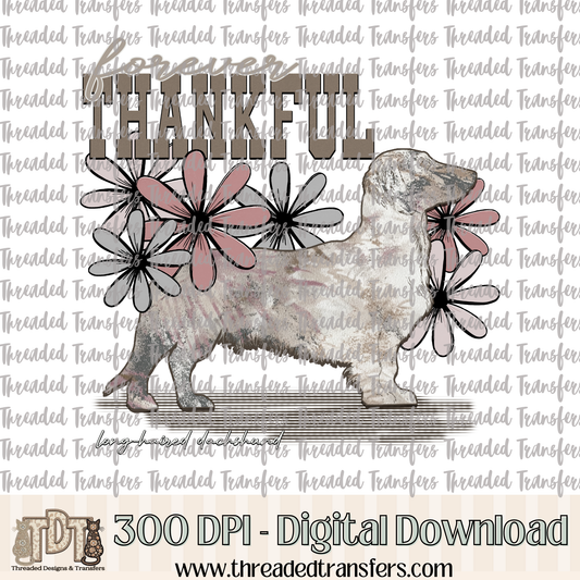 Forever Thankful Long Haired Dachshund Digital Design Download (PNG Format - no product shipped)