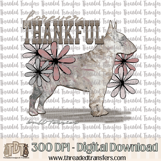 Forever Thankful Bull Terrier Digital Design Download (PNG Format - no product shipped)
