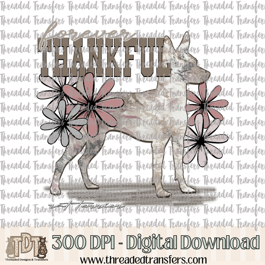 Forever Thankful Rat Terrier Digital Design Download (PNG Format - no product shipped)
