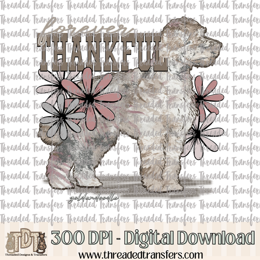 Forever Thankful Goldendoodle Digital Design Download (PNG Format - no product shipped)
