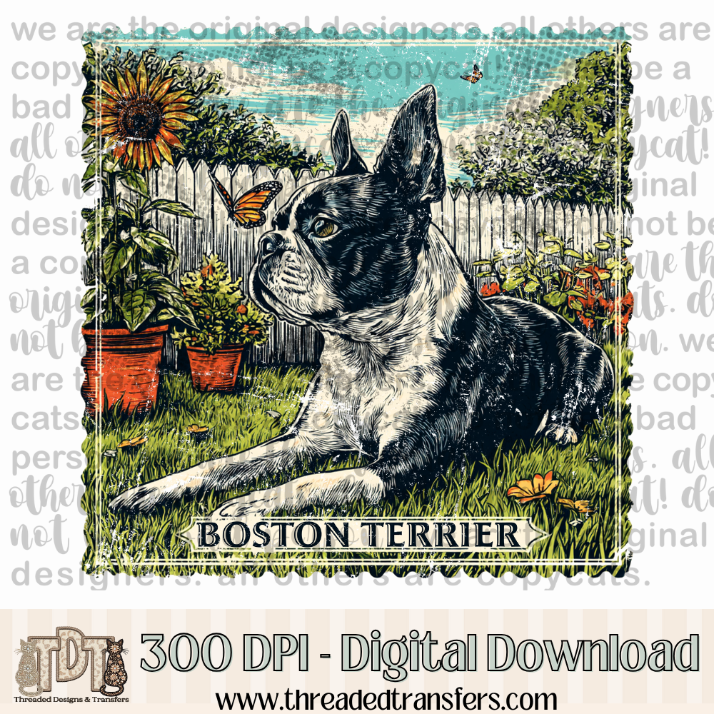 Boston Terrier Vintage Stamp Digital Design Download (PNG Format - no product shipped)