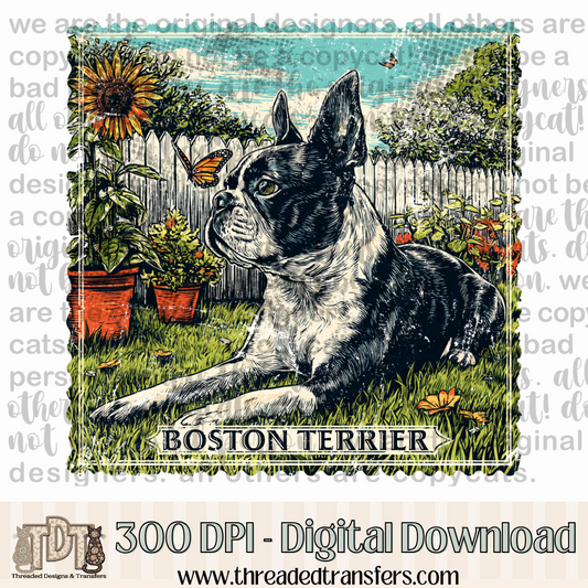 Boston Terrier Vintage Stamp Digital Design Download (PNG Format - no product shipped)