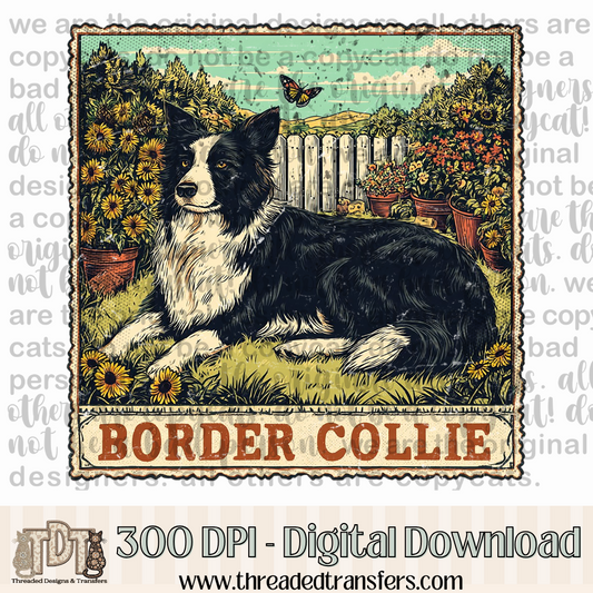 Border Collie Vintage Stamp Digital Design Download (PNG Format - no product shipped)