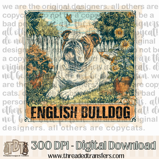 English Bulldog Vintage Stamp Digital Design Download (PNG Format - no product shipped)