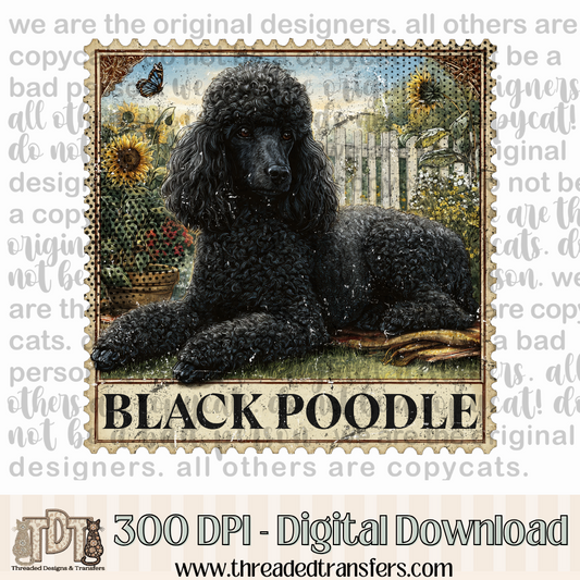 Black Poodle Vintage Stamp Digital Design Download (PNG Format - no product shipped)