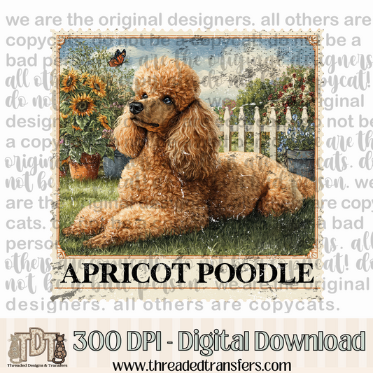 Apricot Poodle Vintage Stamp Digital Design Download (PNG Format - no product shipped)