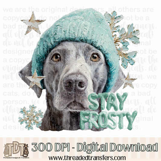 Silver Labrador Retriever Stay Frosty Hand Painted Digital Design Download (PNG Format - no product shipped)