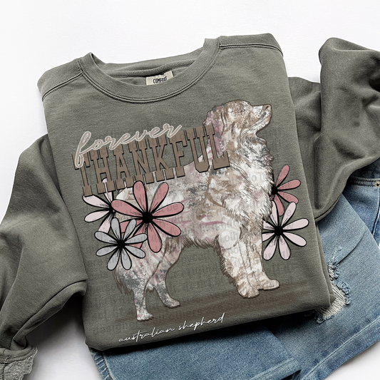 Forever Thankful Australian Shepherd DTF Transfer