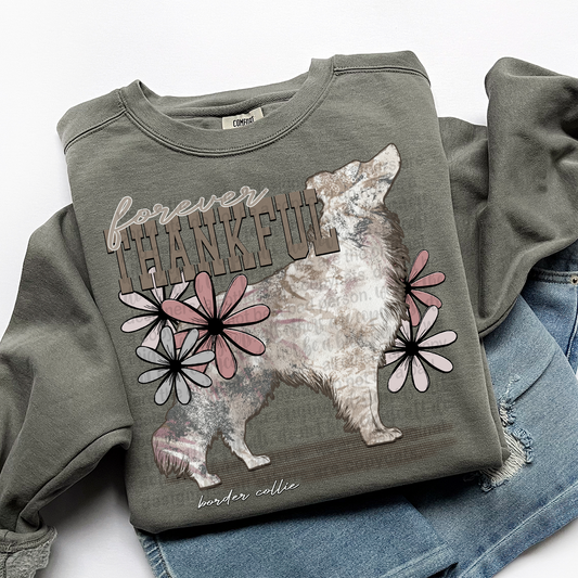 Forever Thankful Border Collie DTF Transfer
