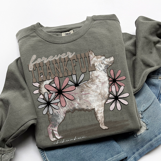 Forever Thankful Chihuahua DTF Transfer