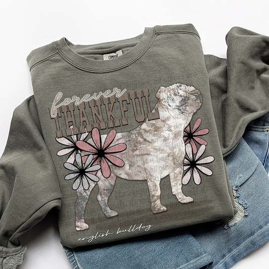 Forever Thankful English Bulldog DTF Transfer