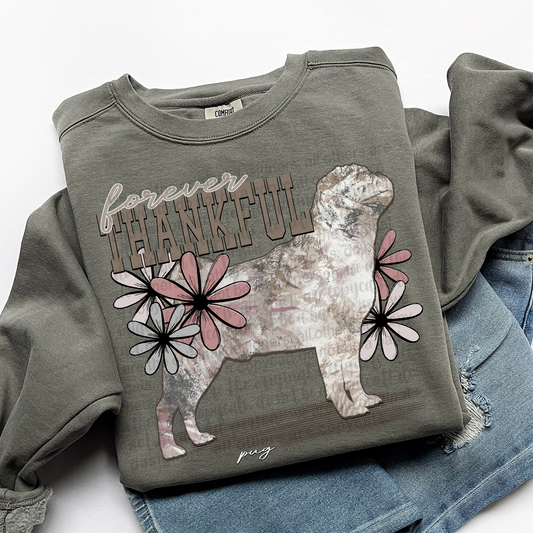 Forever Thankful Pug DTF Transfer
